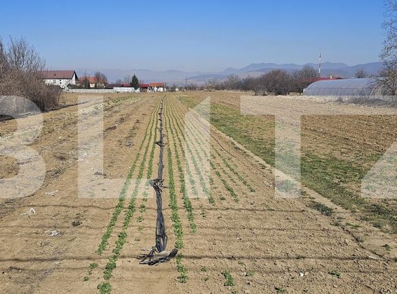 Teren de vânzare Santuhalm - 167611TV | BLITZ Deva | Poza1