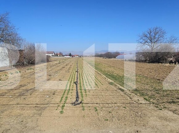 Teren de vânzare Santuhalm - 167611TV | BLITZ Deva | Poza2