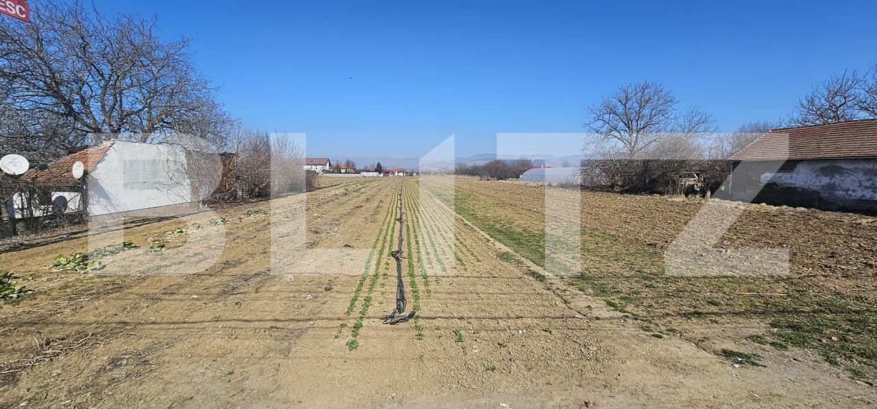 Teren de vânzare Santuhalm - 167611TV | BLITZ Deva | Poza2