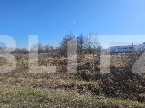 Teren de vânzare Santuhalm - 167612TV | BLITZ Deva | Poza4