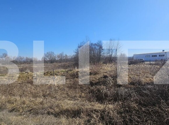 Teren de vânzare Santuhalm - 167612TV | BLITZ Deva | Poza1