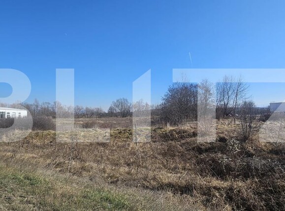 Teren de vânzare Santuhalm - 167612TV | BLITZ Deva | Poza2