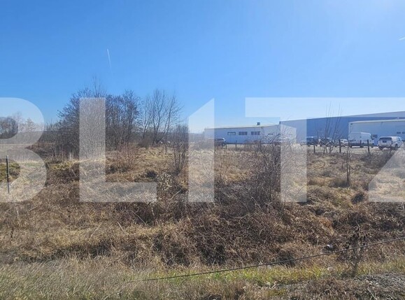 Teren de vânzare Santuhalm - 167612TV | BLITZ Deva | Poza3