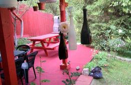 Cabana 2 camere, 100mp, Aleea Bujorului