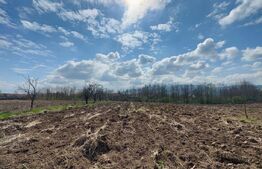 Teren intravilan de vanzare, 1500 mp, zona Șoimuș