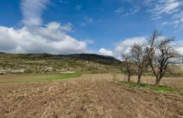 Teren intravilan de vanzare, 1500 mp, zona Șoimuș