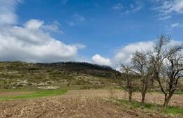 Teren de vânzare Orastie - 184228TV | BLITZ Deva | Poza3