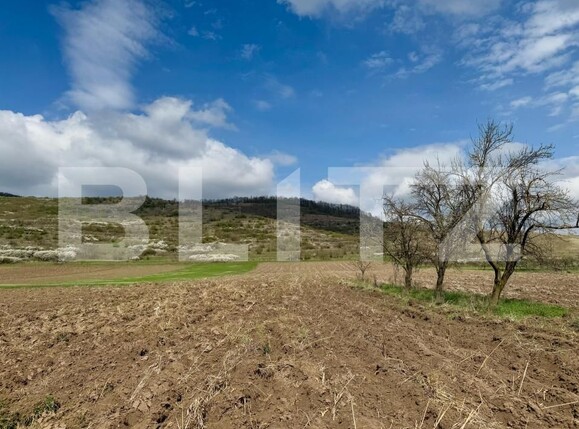 Teren de vânzare Nord-Est - 168239TV | BLITZ Deva | Poza3