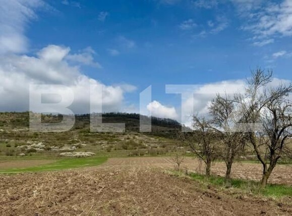 Teren de vânzare Nord-Est - 168239TV | BLITZ Deva | Poza1