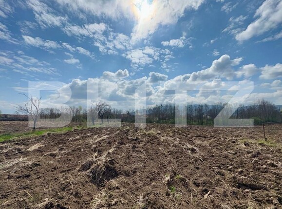 Teren de vânzare Nord-Est - 168239TV | BLITZ Deva | Poza2