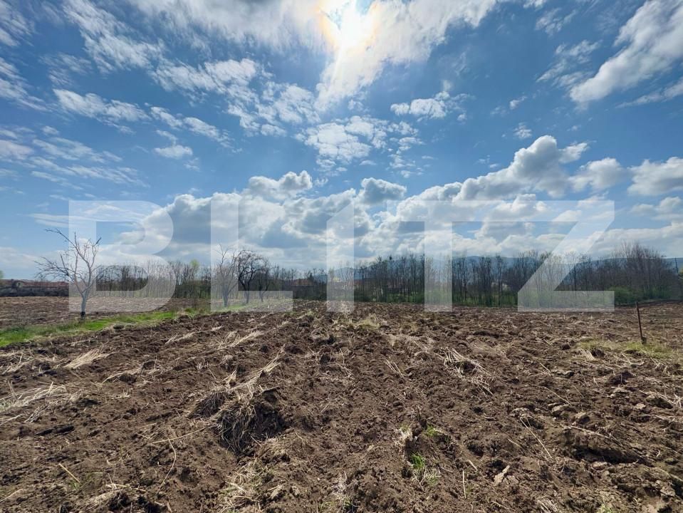 Teren de vânzare Nord-Est - 168239TV | BLITZ Deva | Poza2