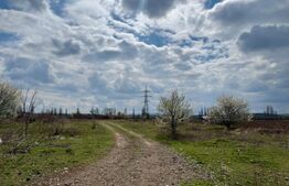 Teren Intravilan de vanzare,  7800 mp, zona Simeria