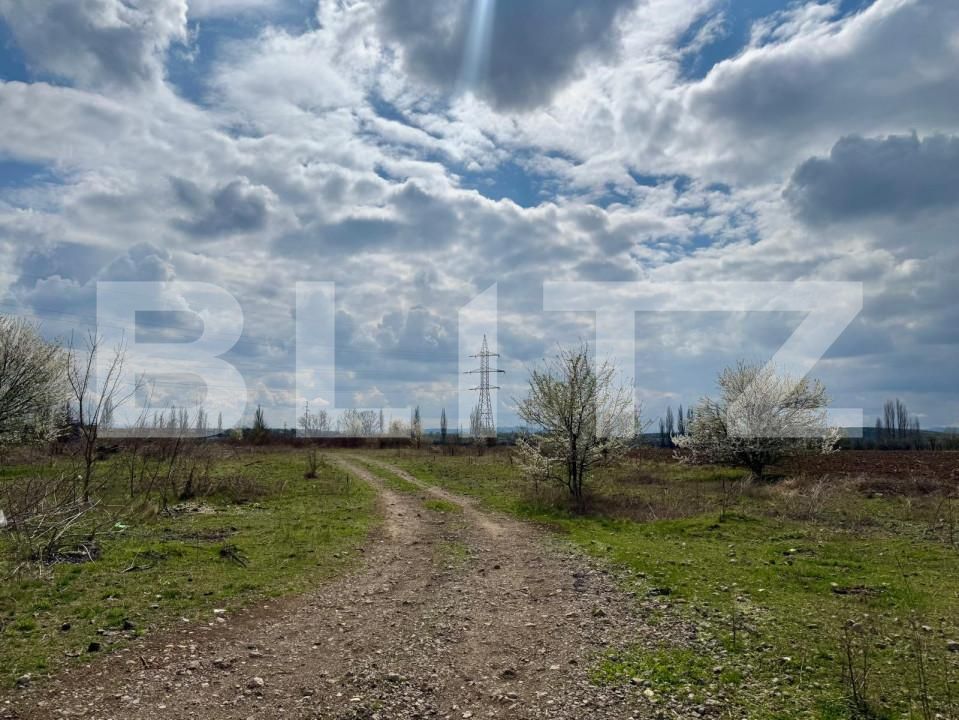 Teren de vânzare Sud-Est - 168240TV | BLITZ Deva | Poza1