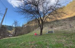 Casa de vanzare, 3 camere, 66 mp, zona Vața de Sus