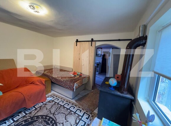Casa de vânzare 3 camere Brad - 168349CV | BLITZ Deva | Poza2