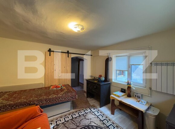 Casa de vânzare 3 camere Brad - 168349CV | BLITZ Deva | Poza1