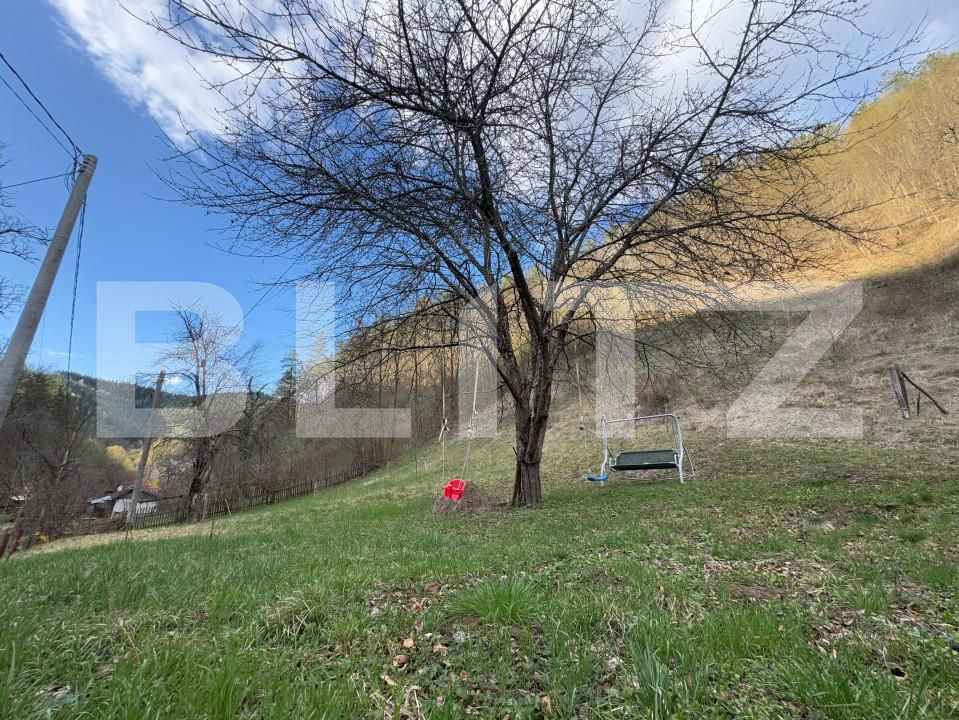 Casa de vânzare 3 camere Brad - 168349CV | BLITZ Deva | Poza7