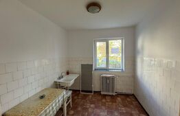 Apartament de vanzare, cu 2 camere 48 mp, zona Gojdu 