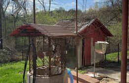 Vand casă cu 3 camere, Valea Bradului