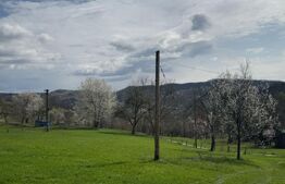 Vand casă cu 3 camere, Valea Bradului