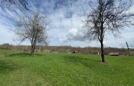 Vand casă cu 3 camere, Valea Bradului