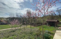 Vand casă cu 3 camere, Valea Bradului