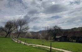 Vand casă cu 3 camere, Valea Bradului