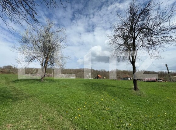 Casa de vânzare 4 camere Periferie - 168565CV | BLITZ Deva | Poza12