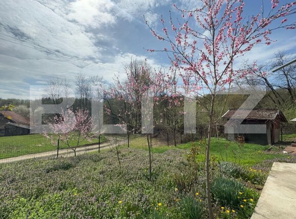 Casa de vânzare 4 camere Periferie - 168565CV | BLITZ Deva | Poza11