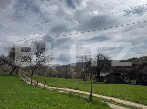 Casa de vânzare 4 camere Periferie - 168565CV | BLITZ Deva | Poza10