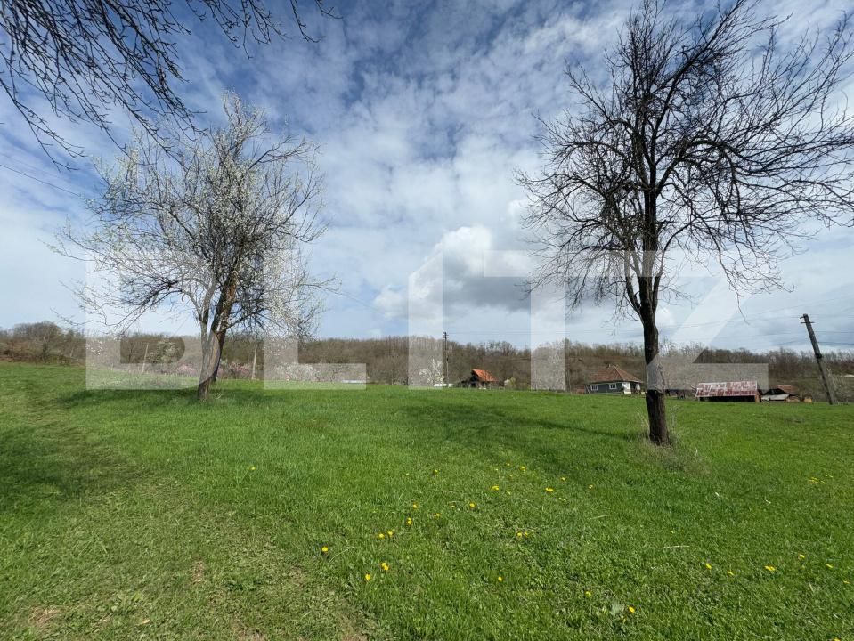 Casa de vânzare 4 camere Periferie - 168565CV | BLITZ Deva | Poza12