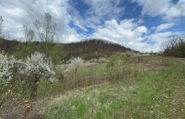 Teren de vânzare Orastie - 182963TV | BLITZ Deva | Poza5