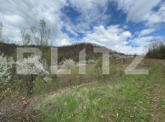 Teren de vânzare Periferie - 168596TV | BLITZ Deva | Poza1