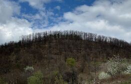 Teren de vânzare Zavoi - 172960TV | BLITZ Deva | Poza5