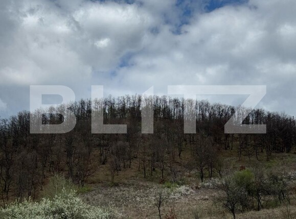 Teren de vânzare Periferie - 168597TV | BLITZ Deva | Poza3