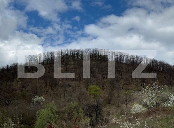 Teren de vânzare Periferie - 168597TV | BLITZ Deva | Poza1