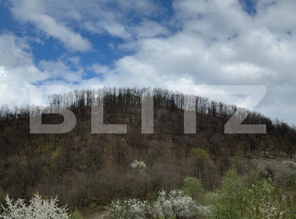 Teren de vânzare Periferie - 168597TV | BLITZ Deva | Poza2