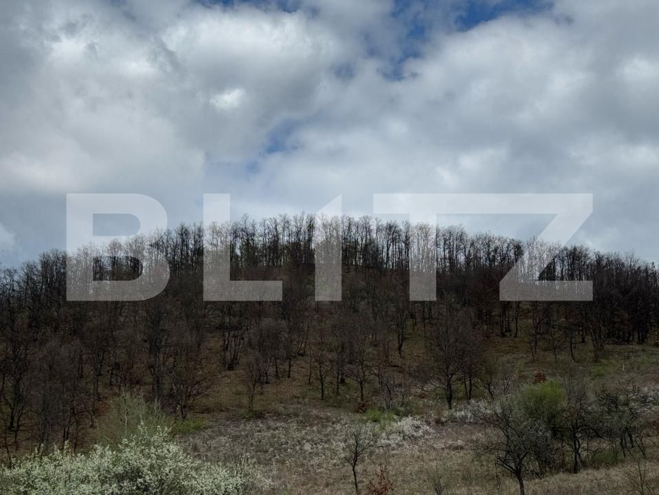 Teren de vânzare Periferie - 168597TV | BLITZ Deva | Poza3