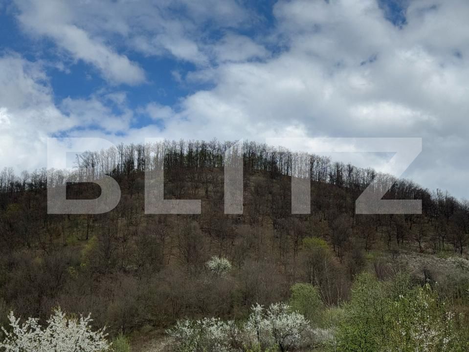 Teren de vânzare Periferie - 168597TV | BLITZ Deva | Poza2