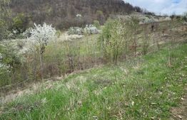 Vând 17 ha teren extravilan, Carmazanesti