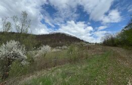 Vând 17 ha teren extravilan, Carmazanesti