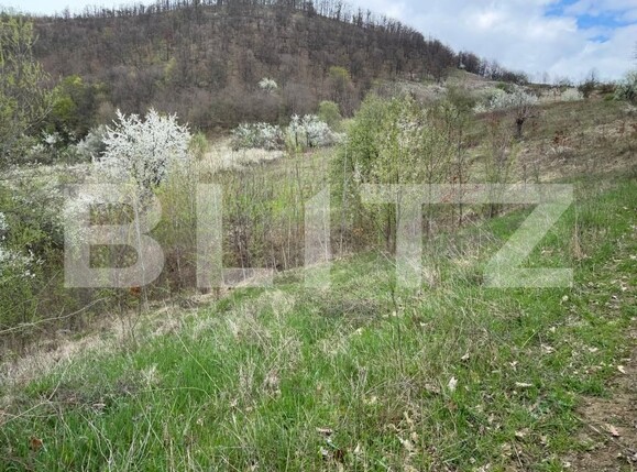 Teren de vânzare Periferie - 168599TV | BLITZ Deva | Poza3