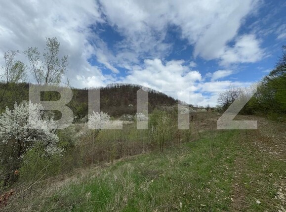Teren de vânzare Periferie - 168599TV | BLITZ Deva | Poza1