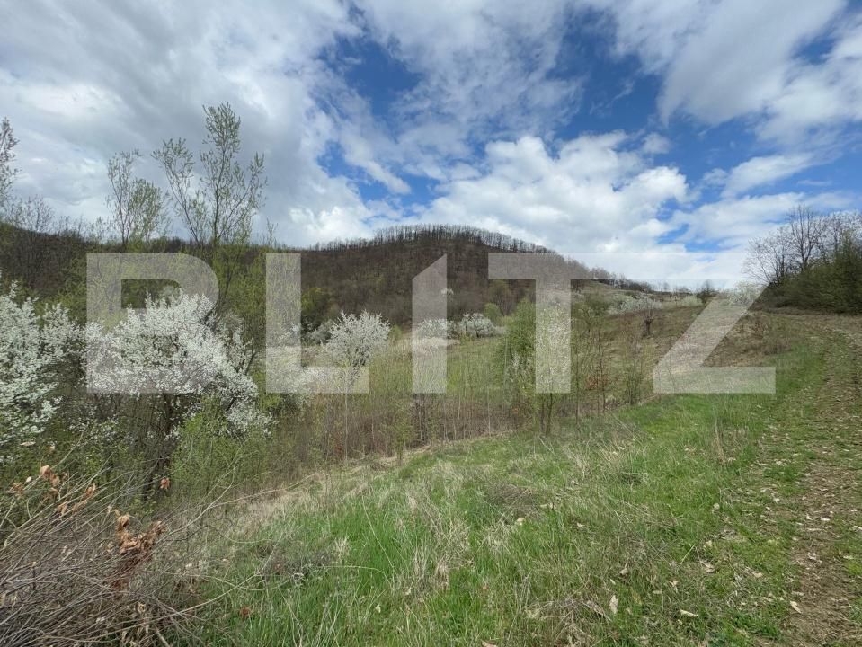 Teren de vânzare Periferie - 168599TV | BLITZ Deva | Poza2