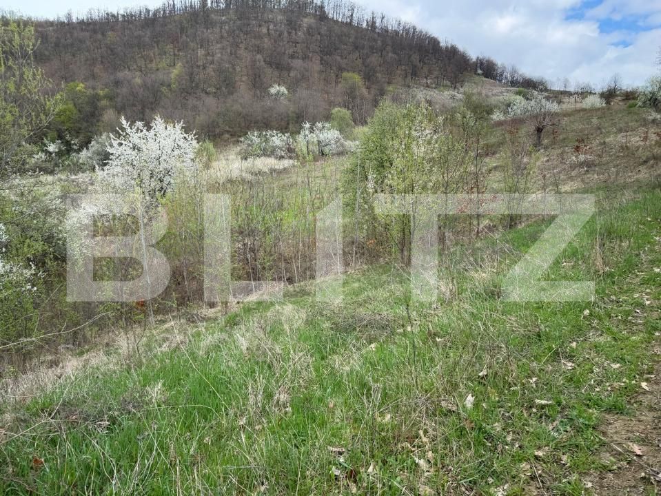 Teren de vânzare Periferie - 168599TV | BLITZ Deva | Poza3