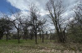 Vând casa cu 1 ha de livadă in Carmazanesti