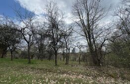 Vând casa cu 1 ha de livadă in Carmazanesti