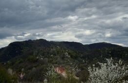 Vând casa cu 1 ha de livadă in Carmazanesti