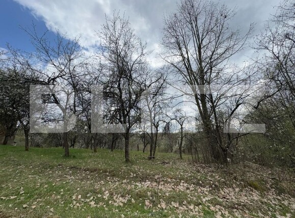 Casa de vânzare 2 camere Hunedoara - 168600CV | BLITZ Deva | Poza1