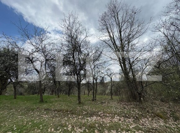 Casa de vânzare 2 camere Hunedoara - 168600CV | BLITZ Deva | Poza2